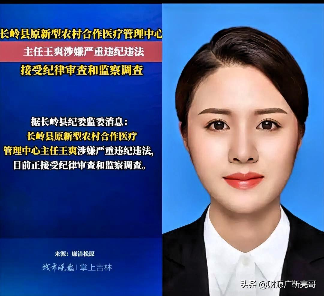 吉林长岭的王爽，履历表那是相当漂亮，一步一个脚印爬到了新农合管理中心主任的位置。