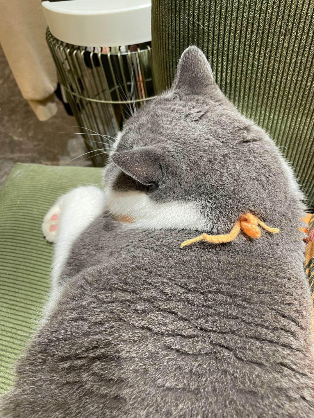 奶包子