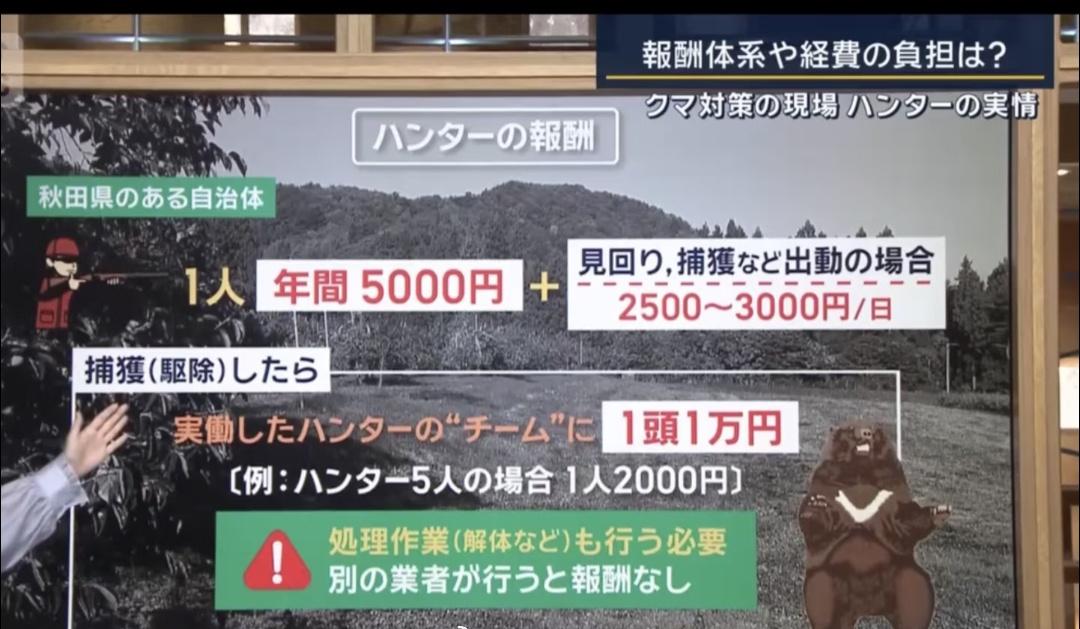 今年日本熊害严重，同时伴随熊猎人的老龄化严重，但没想到的是他们的待遇也是相当的哇