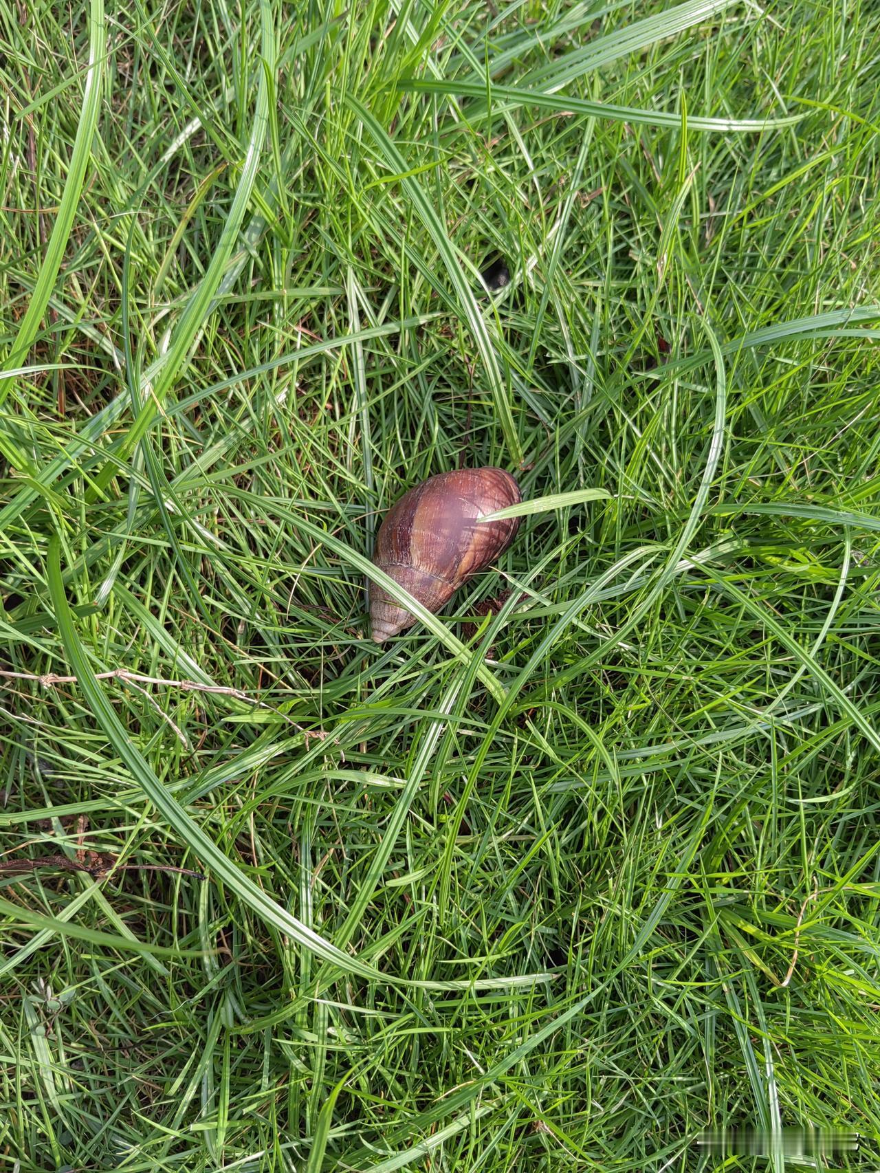 夏日荷花香满池
秋天圆月朗大地