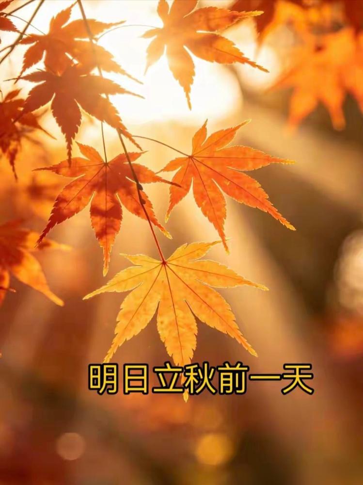 不是迷信！明日立秋前一天，最不能做的5件事，记得告知家人！

前两年我真吃过这方