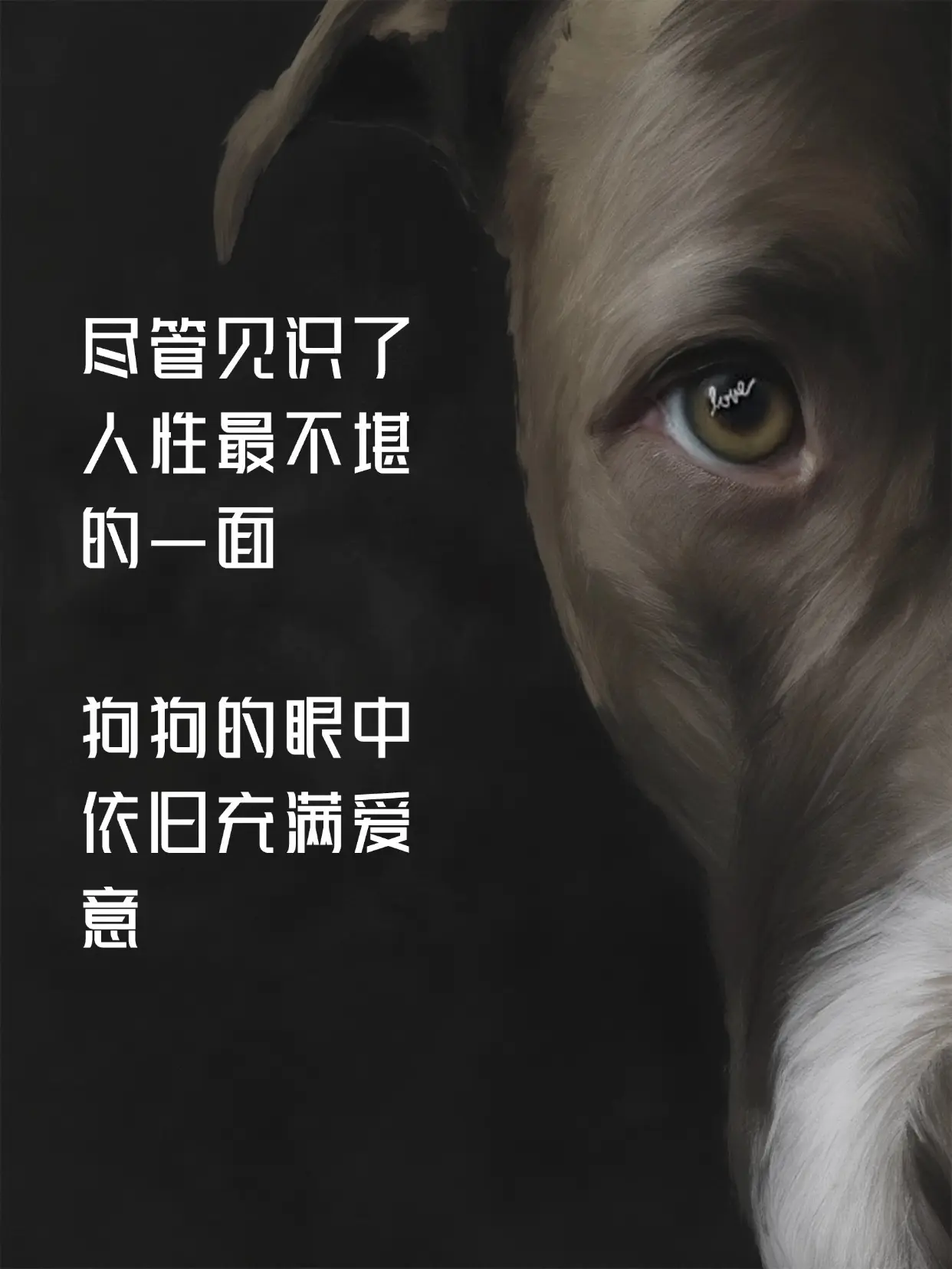 温顺与信任，从来不该成为被肆意施暴的理由。它挨过拳头、受过冷眼，尝遍了...