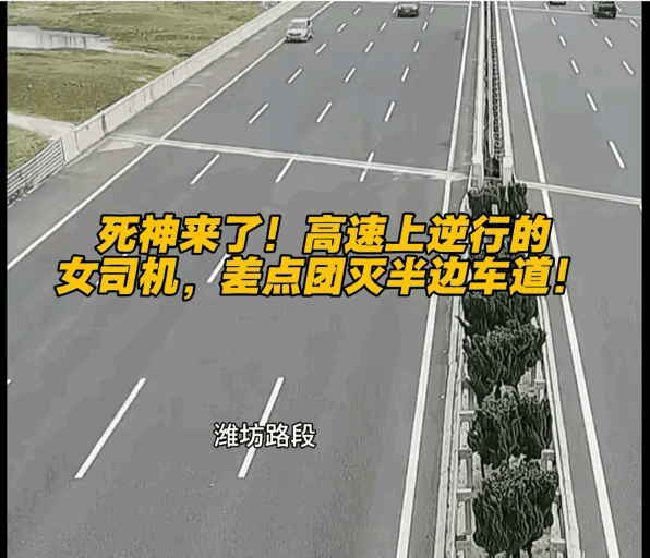 是真厉害啊？
高速逆行巨无霸，神来之笔震天吼，神人也！死神，死神也得躲着走，看把