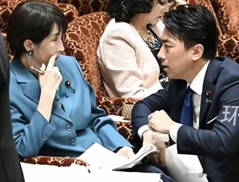 日本首相府一位负责安全事务的高级官员发表看法，认为日本“拥核”有现实需要，但他承