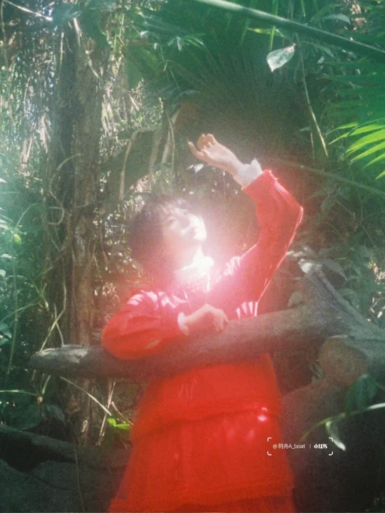 树影里梦游