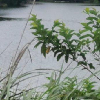 每日一善 做一个眼里有风景，心中有梦想，自律又自信的人。真正决定一个人成就的也不