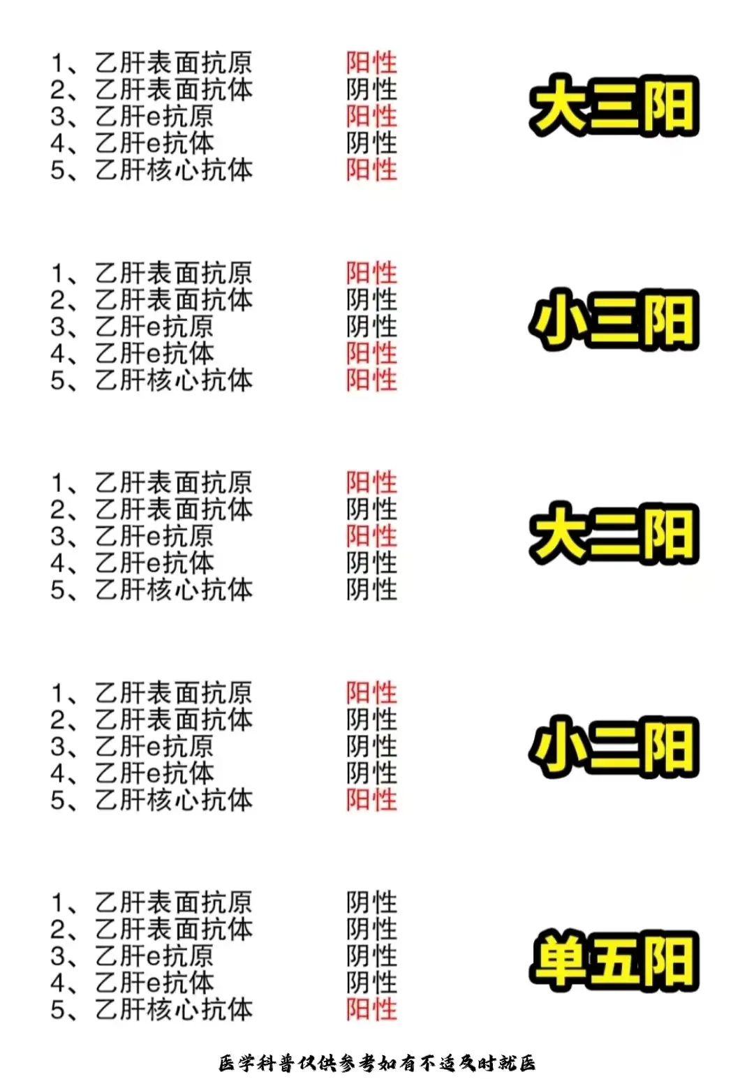 山东 乙肝 医学科普 养肝护肝