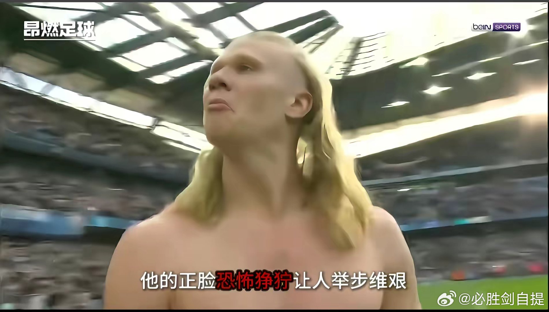 世界杯