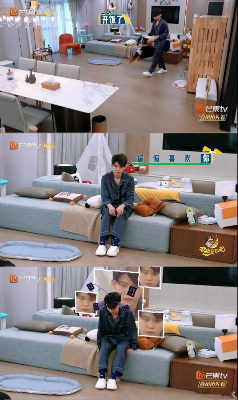 沙一汀还没睁眼就来喂狗 这养宠本能也太绝了！眼睛都没完全睁开，手已经精准找到狗粮