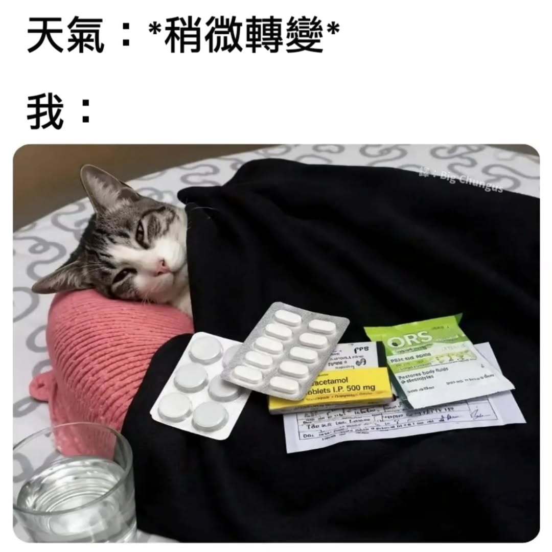 药罐子memes ​​​
