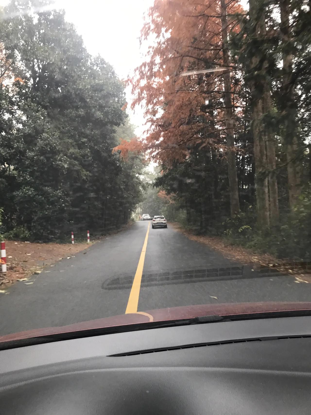 大舅赵竹生，凌晨去逝，享年八十岁。愿大舅一路走好，天堂没有病痛。聊发旧文《三舅赵
