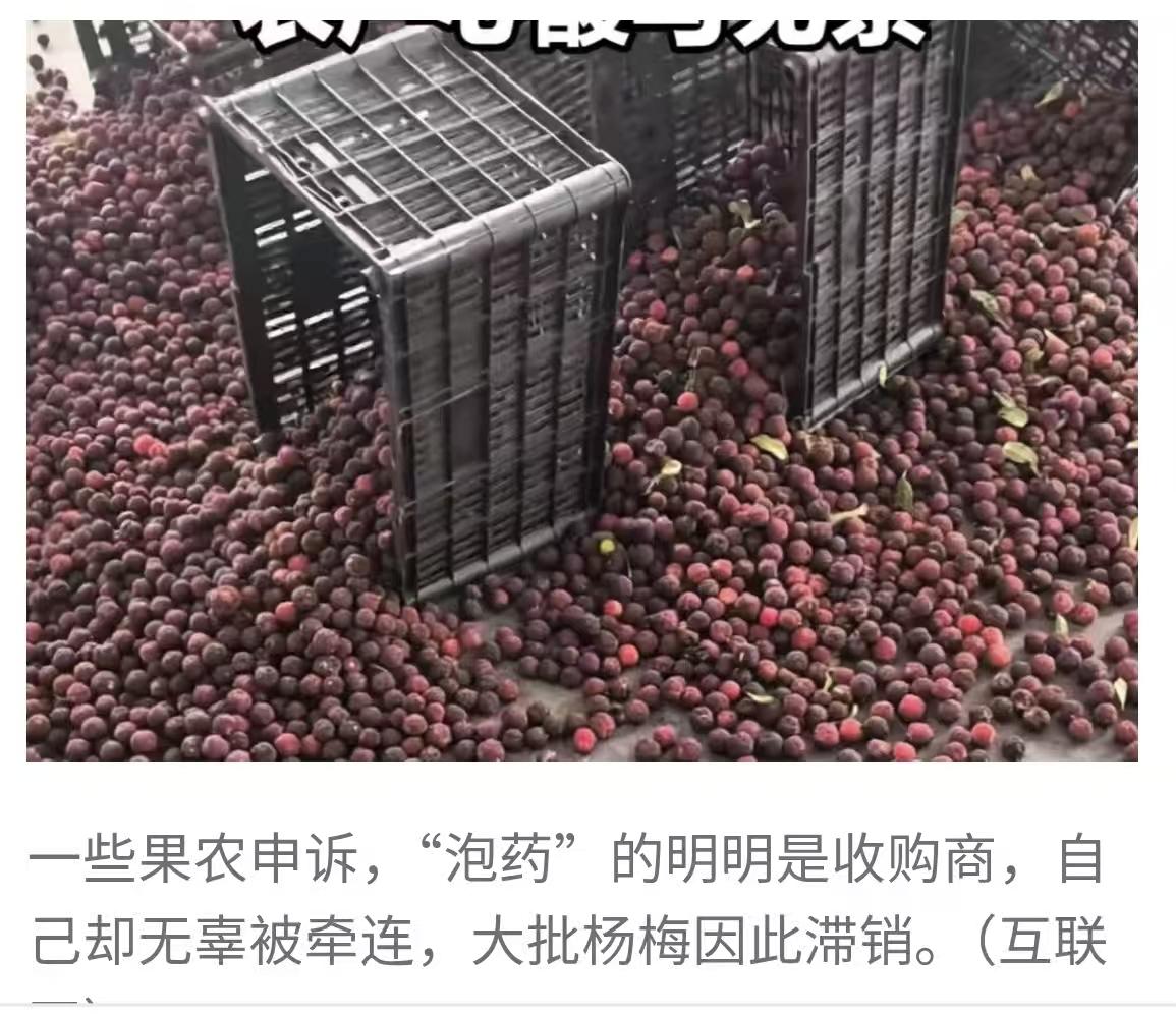 都在喊冤，谁来收拾残局？

3.15 的记忆还历历在目，才过了 两个月，“毒杨梅