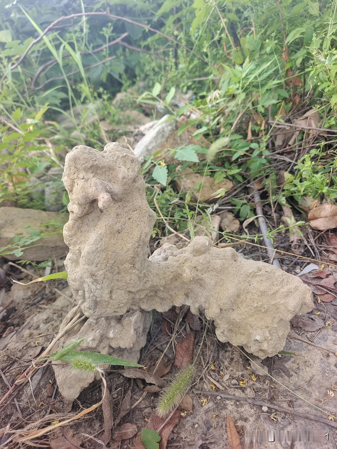驴粪蛋子面子光

自己姿色全没有
还说别人长的丑
自己本身穷当当
还说别人闹饥荒