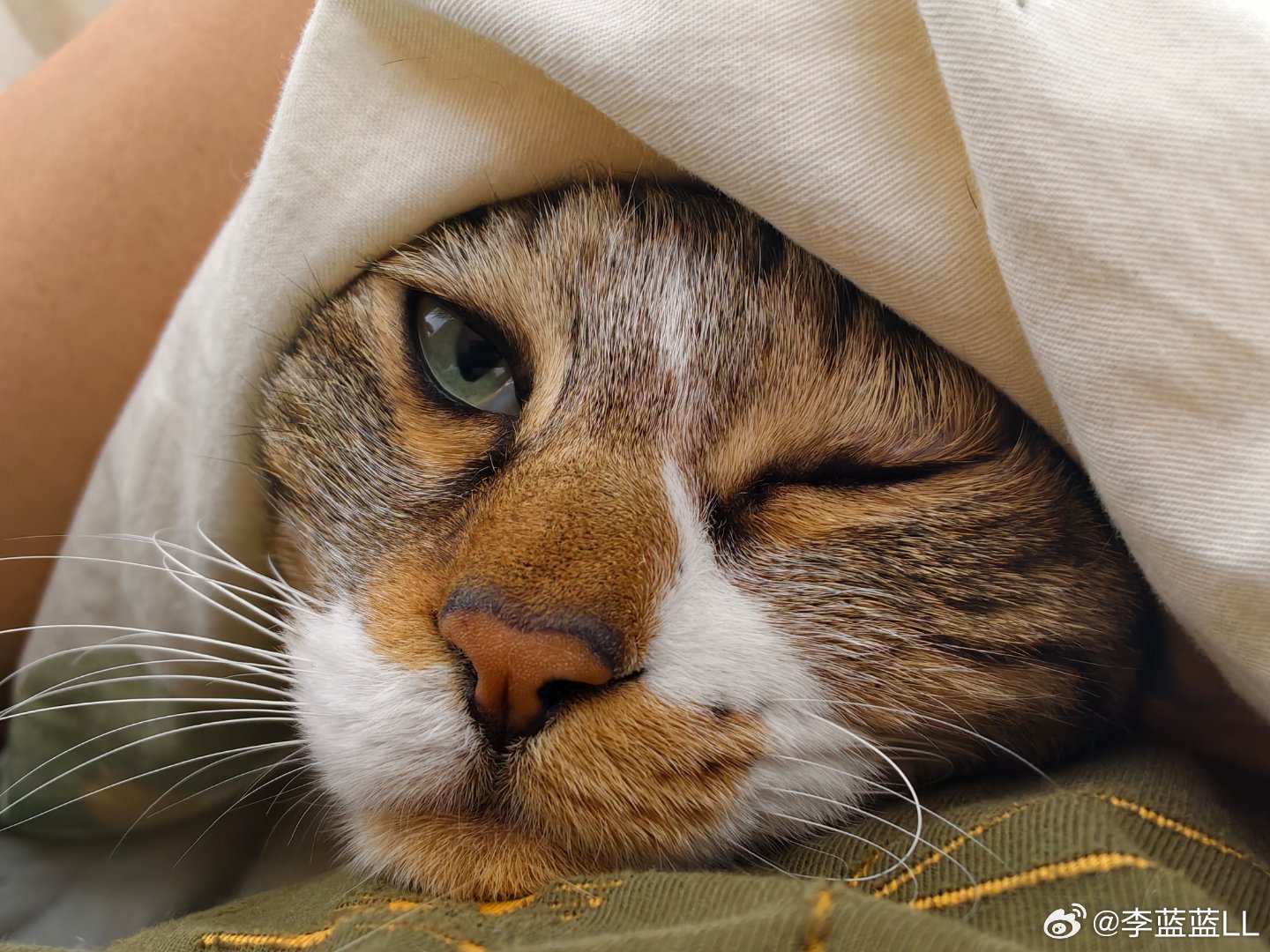 又要连出好几天差～问问上海和长沙的朋友，天气咋样？穿薄外套够不够？冬装我都收起来