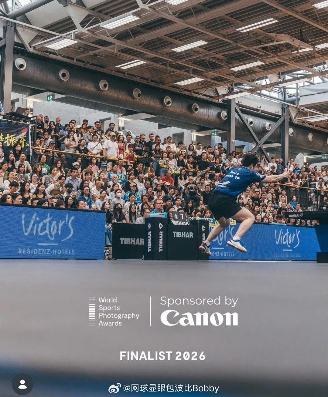 樊振东又“出圈”了！这次是以一种艺术的形式——他的一张赛场腾空照片，入围了世界顶