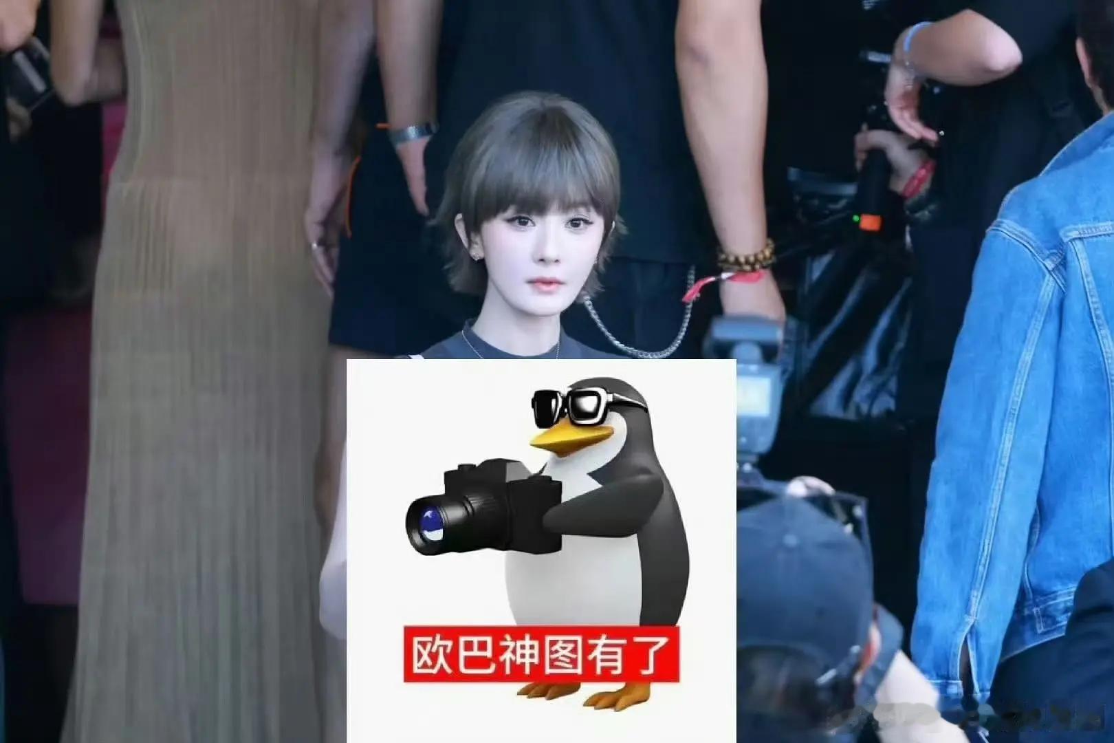 杨幂prada大秀现场生图短发很灵动很摩登很好看诶 ​​​