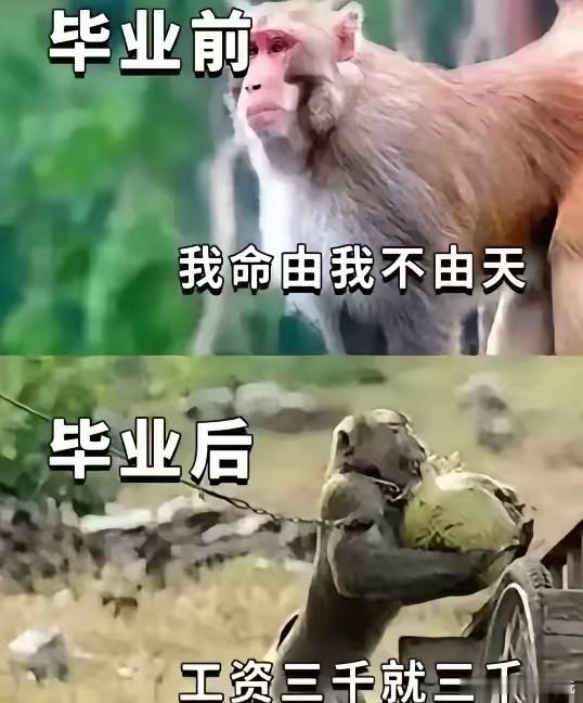年轻人开始卡bug上四休三了当代年轻人的现状:一边佛系躺平，一边偷偷努力，在焦虑
