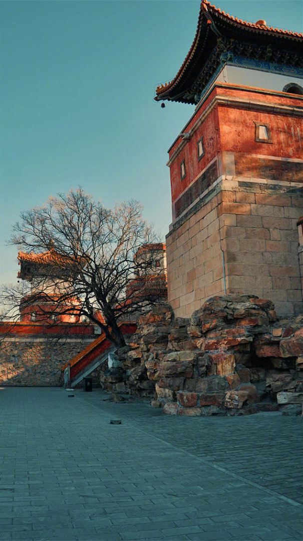 很赞同的一句话：“有见识不仅是见过世界的繁华与上流，还应该见过世界的贫穷和底层。