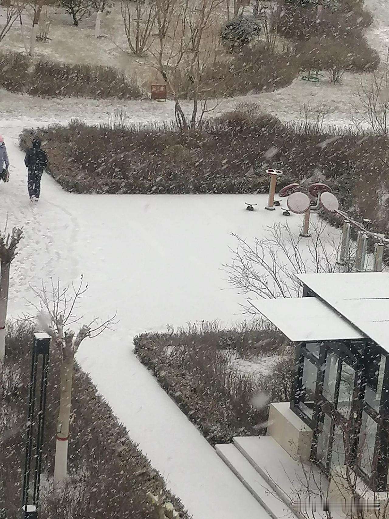 呼和浩特下雪了！飘飘洒洒的雪花飞下来，大地瞬间变得银装素裹，这就是冬天的样子！[