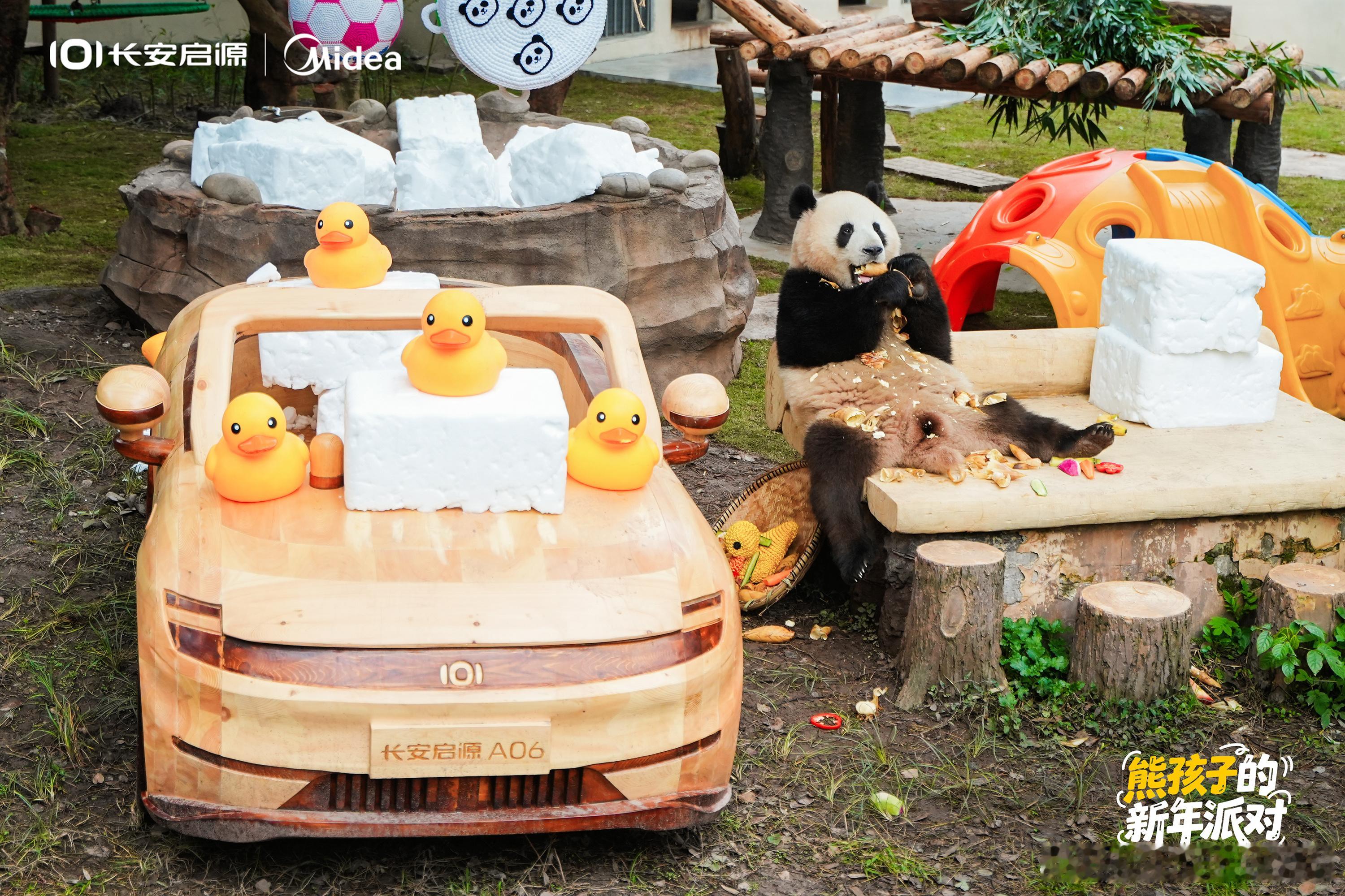 报告！抓到三只糯米团子过元旦！莽灿灿×渝可×渝爱的新年派对💫玩雪上头｜干饭积极