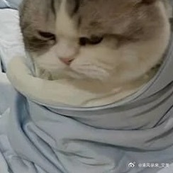 阳光信用  💜阳光信用 🍀【hu动指路 不吞必hui 不带🔗 勿带hui字