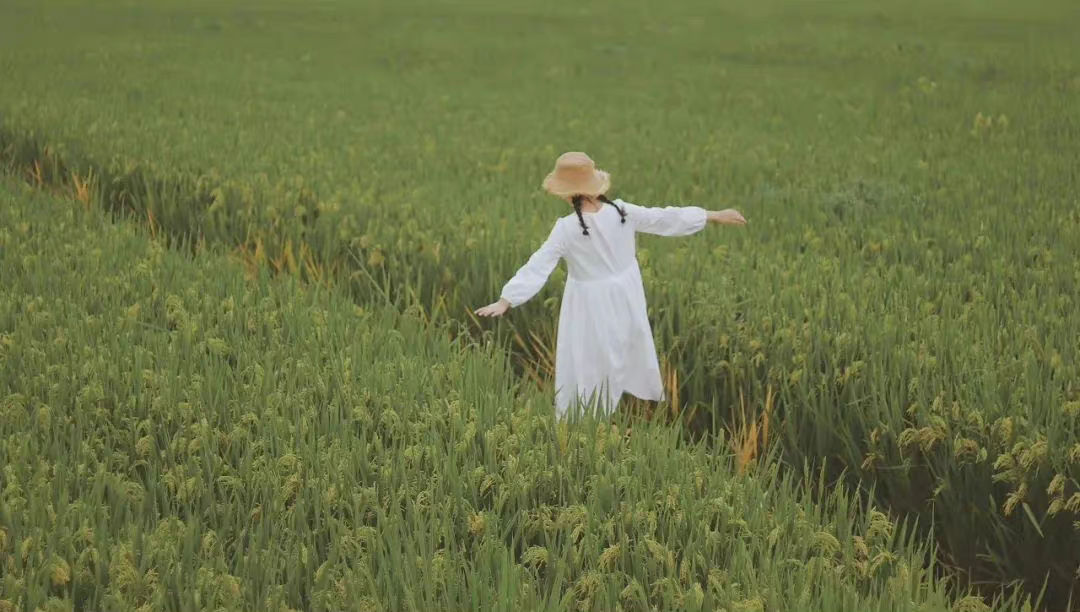 如果想征服生命中的焦虑，  活在当下,  活在每一个呼吸里。 