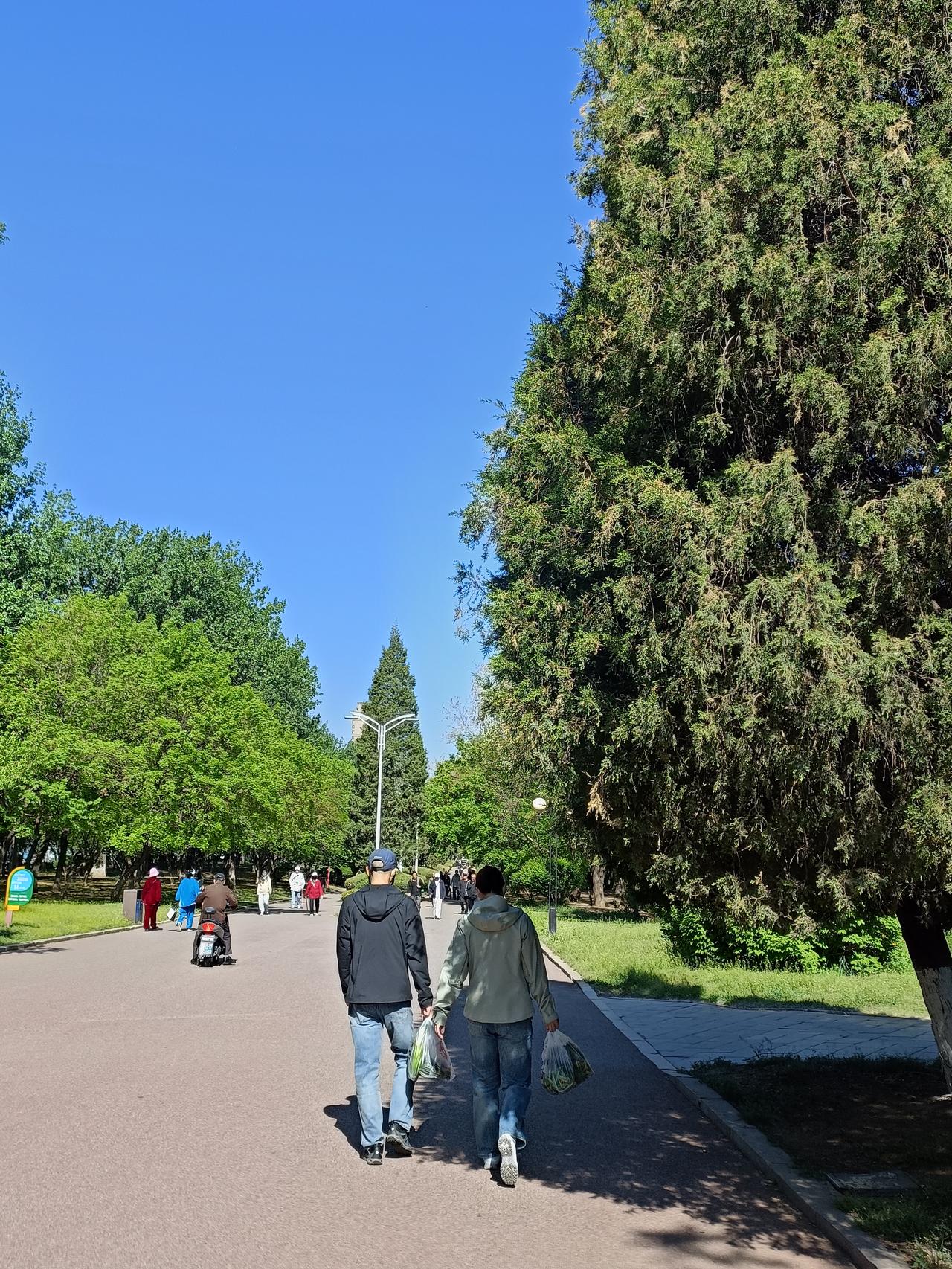 随遇而安，是一种看淡得失、顺应本心的智慧生活态度。在快节奏和压力重重的现代生活中
