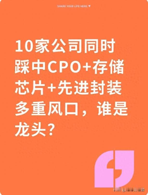 10家公司同时踩中CPO+存储芯片+先进封装多重风口，谁是龙头？