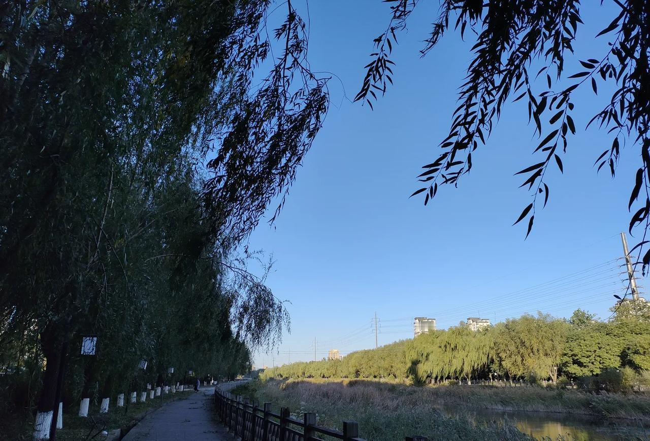 断崖式降温对辽宁的影响，今早真冷，风太大，差点把我刮跑了。
辽阳今天的温度是-3