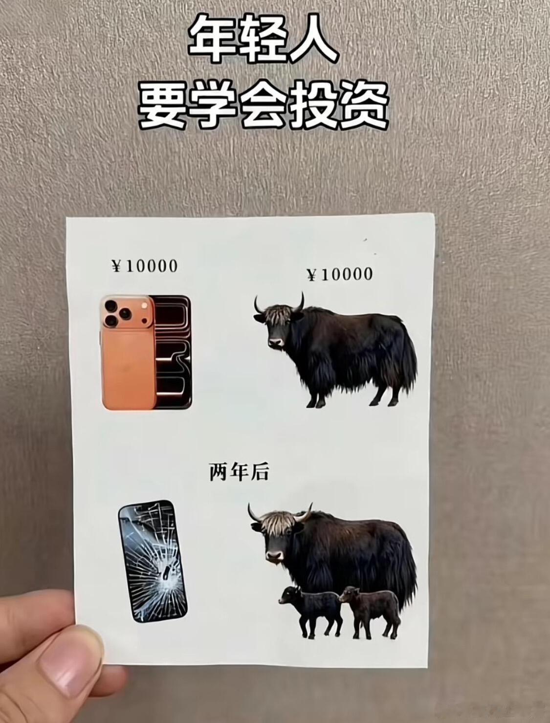 要我说年轻人就应该学会投资，你们都会了吗？