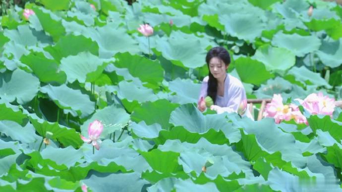 一念江南完全江南宣传片一念江南实景拍摄好美一念江南实景取景，每一帧皆是水墨江南画
