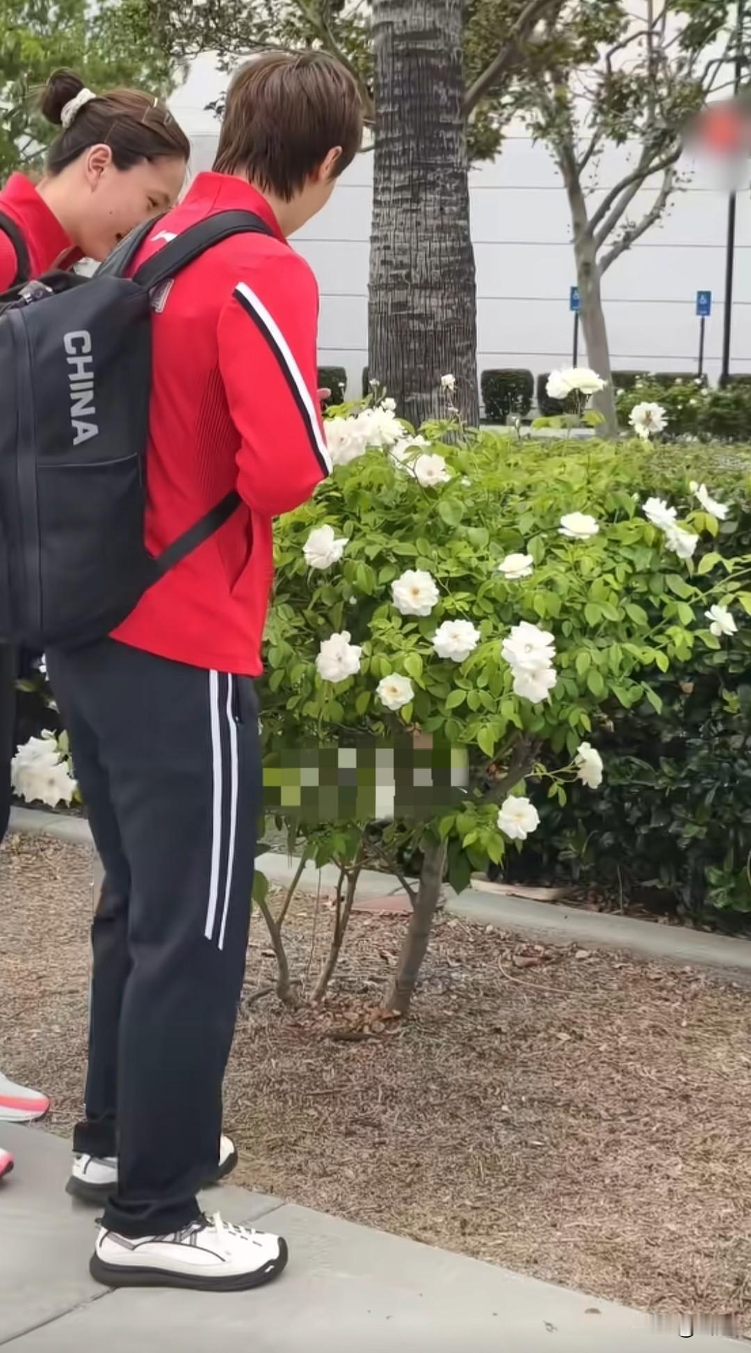 王曼昱果然很喜欢看美景了！

这不在美国又发现她喜欢的花了！

一起和队友在上训