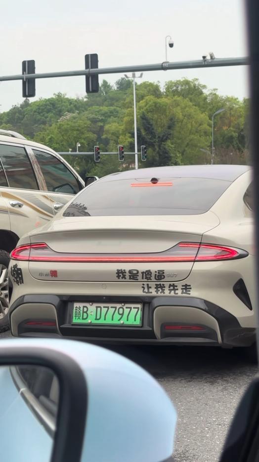 看把小米车主都逼成啥样了