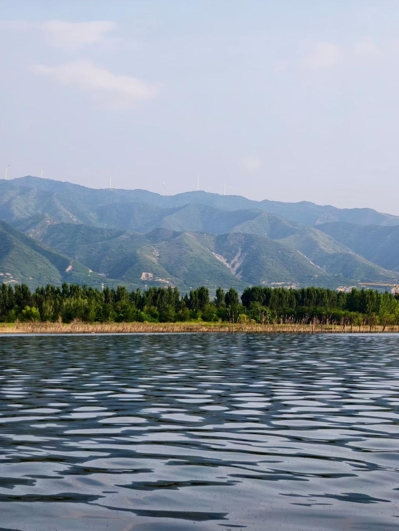 夏日生活打卡季