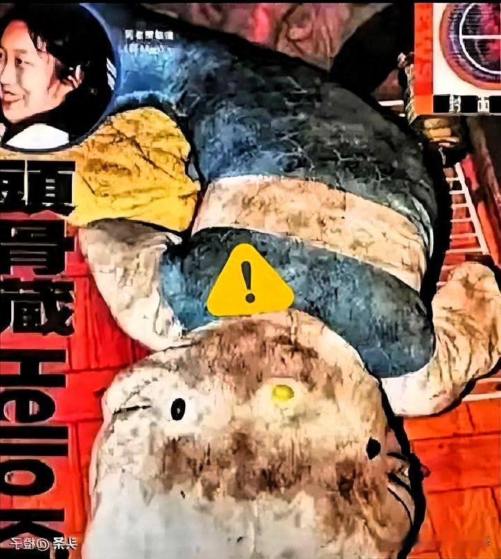 一笔几千块的债，要了一个23岁女孩的命。
 
1999年，香港。
樊敏仪，23岁
