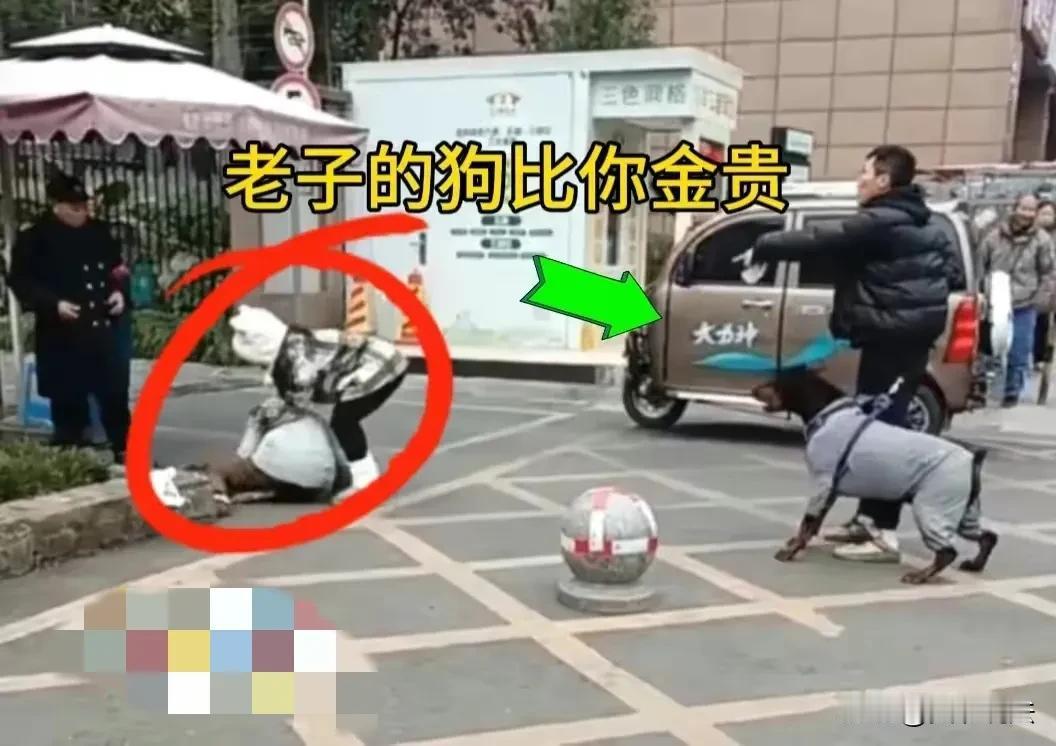 “老子的狗行头1000元，比你全身上下行头都贵！”确定这是人话？
1月18日，网