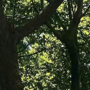 每日一善  0000不管你现在多迷茫，过得多累，走得多艰辛，请相信，生命中总有一