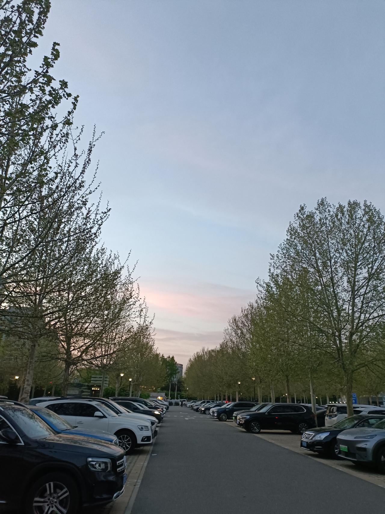 随手拍美丽大自然美丽的大自然，无论去哪，随手一拍都是美景