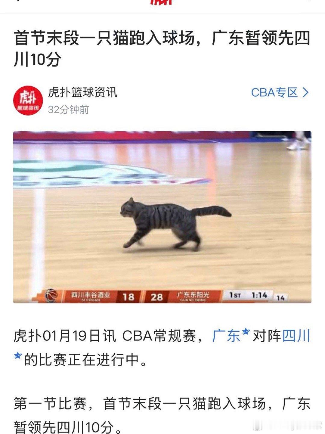 啊啊啊啊？四川男篮vs广东男篮