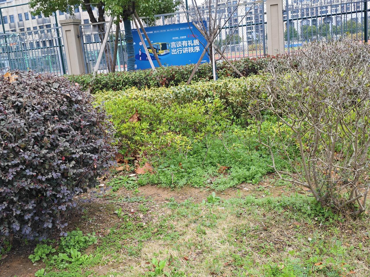 我也觉得物业该取消！现在很多物业只知道收钱，服务却一塌糊涂。物业费年年涨，可小区