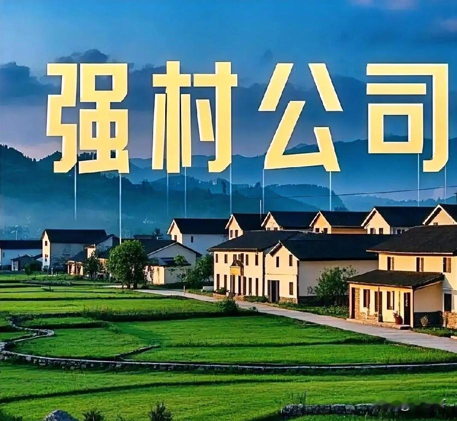 什么是强村公司？收益咋分？给你说清楚。
强村公司，就是村里合作社自己开的公司。几