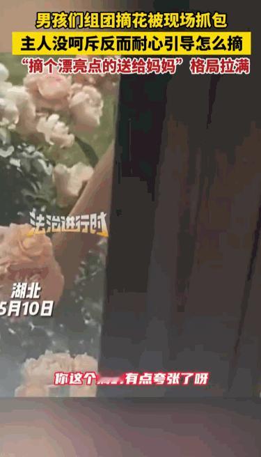 “路边野花不要采”？5月10日，湖北一处花圃里上演了一幕让人哭笑不得又心头一暖的