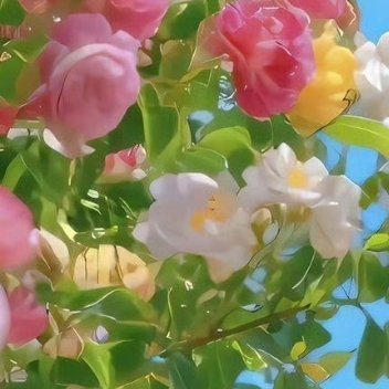 阳光信用 阳光信用每日一善 🍬阳光来自太阳，更来自我们的心灵。心里阳光，生活便