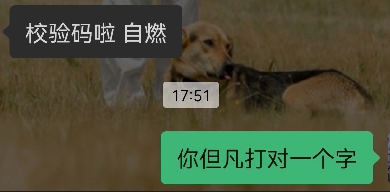 如果你也能完全看得懂好朋友的胡言乱语，那我觉得这件事也泰酷辣！！！ ​​​
