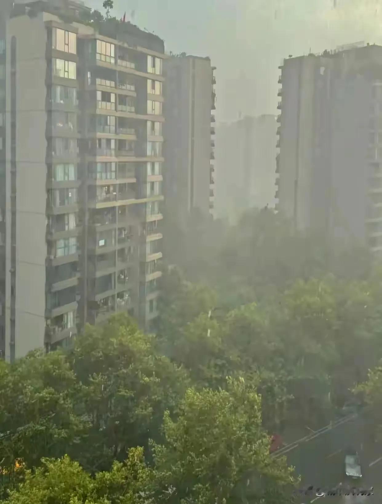 成都龙泉今日终于下了一杯热开水！
其它区降雨了吗、大家是不是有了盼望晚上悄悄再来