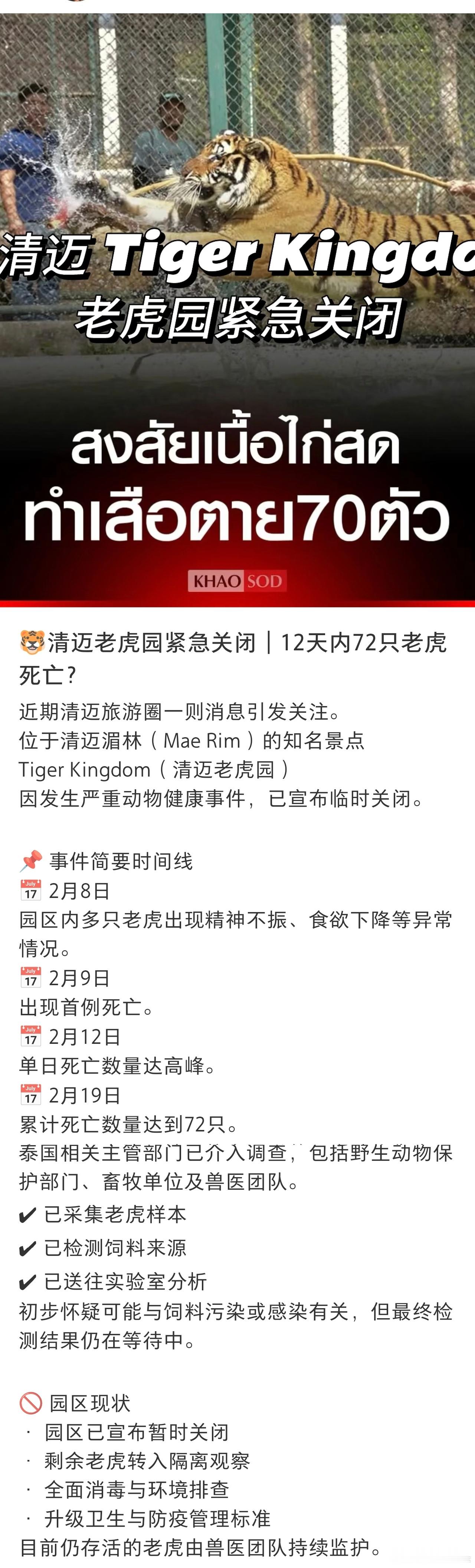 泰国官方通报清迈72只老虎死亡老虎的抵抗力这么差吗？竟然死了72只。海外新鲜事