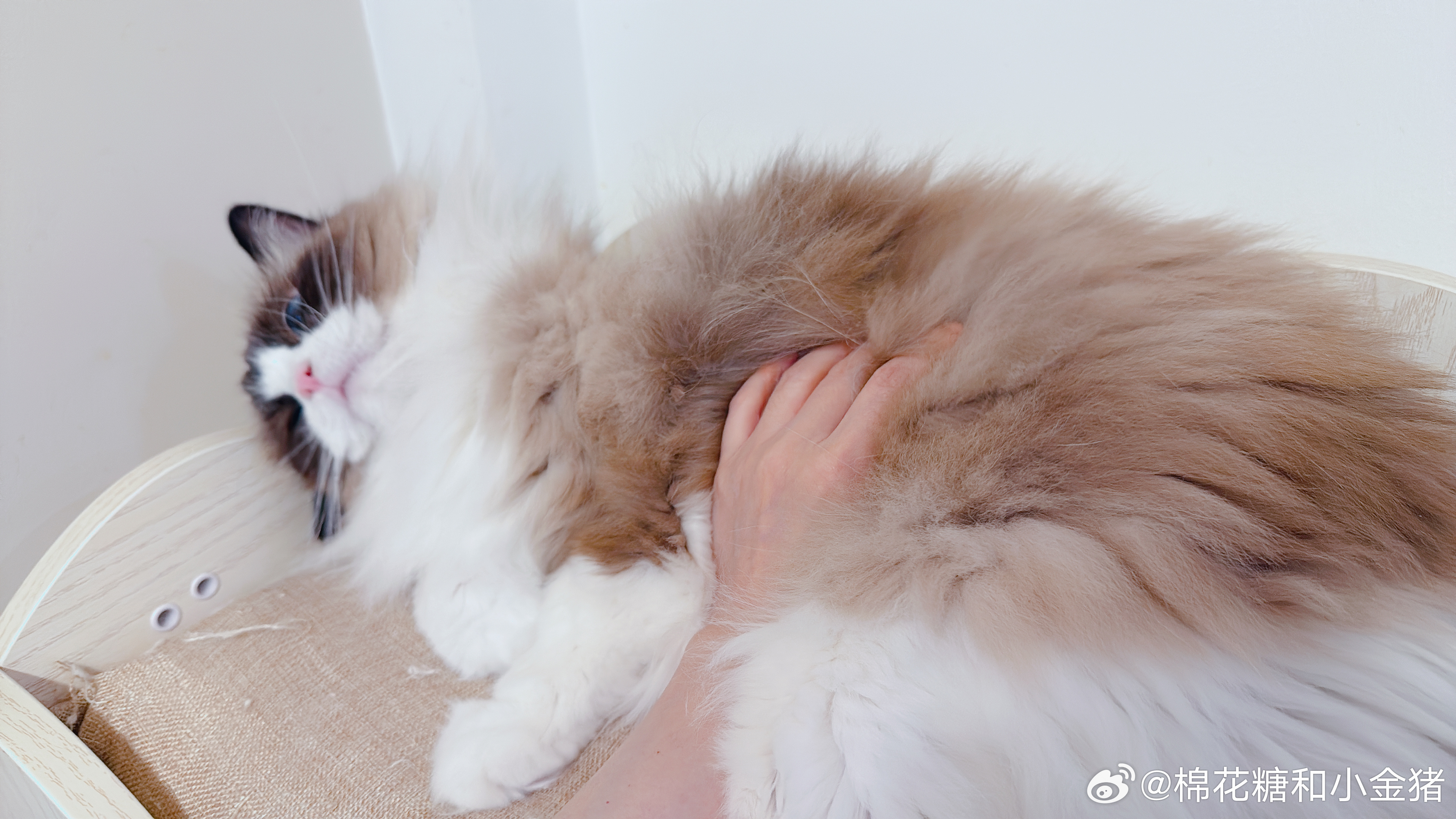 全世界最乖的囡～ 