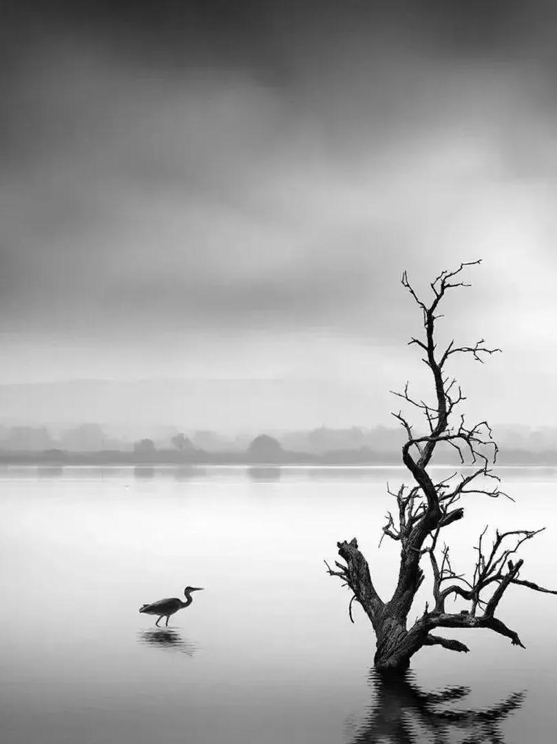 微文：记忆中的故乡
昨晚，侄女在朋友圈发了一段话，让我思绪万千，久久不能平静。