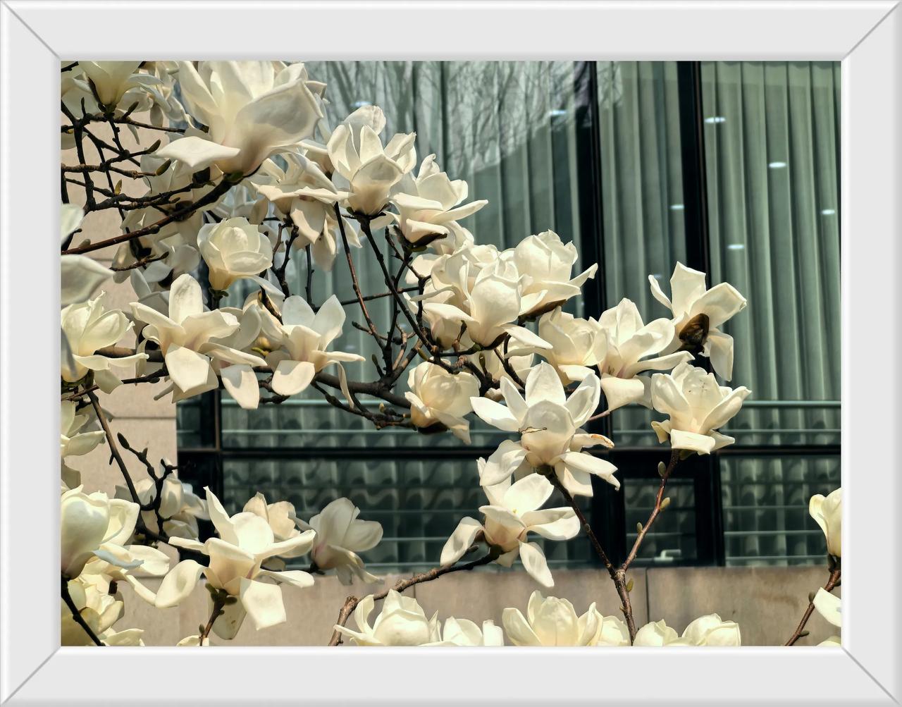 我也跟一张咯[呲牙]