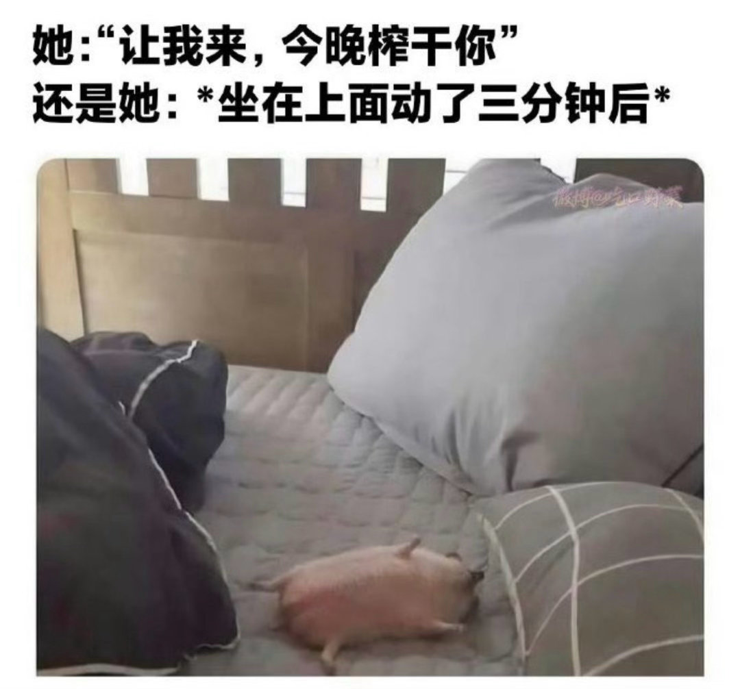“我有点累了”今日memesfunny memememe